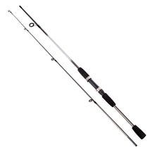 Load image into Gallery viewer, Casting Spinning Lure Fishing Rod